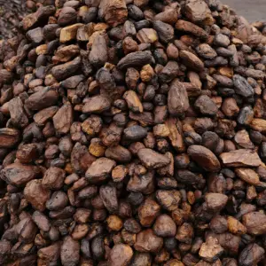 Lignite (Brown Coal)
