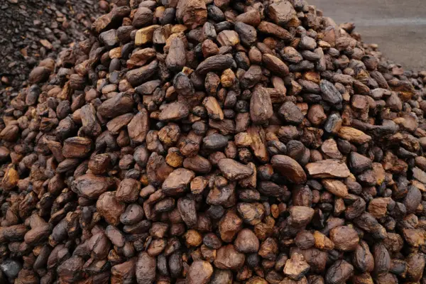 Lignite (Brown Coal)