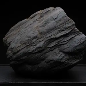 Sub-bituminous Coal